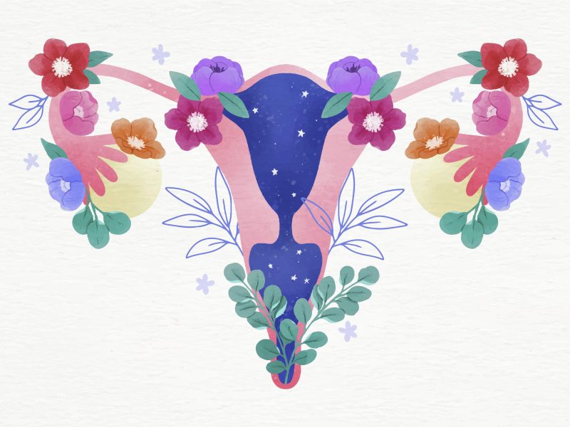 Comprendre le cycle féminin